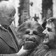 Illustration for article titled Chewbacca finally gets his own movie in emChewie/em